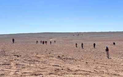 Estudio de distribución de golondrinas de mar en el Proyecto Cachorro: ciencia para una evaluación ambiental responsable